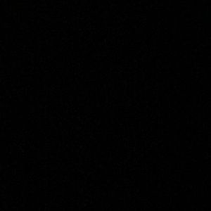 Meet your Posher, Frankie